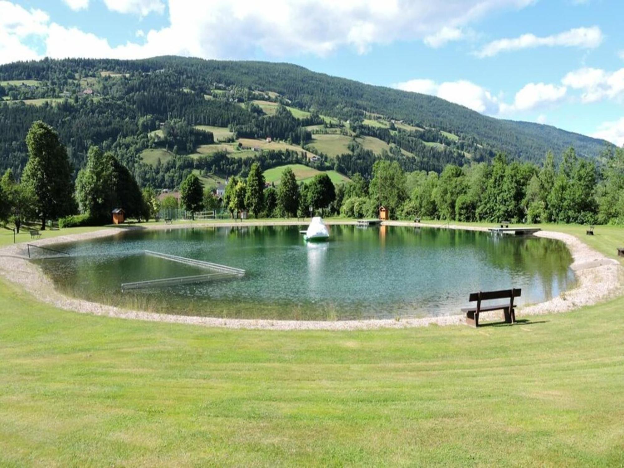 Chalet In Stadl An Der Mur Styria With Terrace Eksteriør bilde